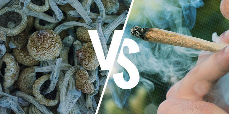 Effekterna av att röka jämfört med att äta magiska svampar THE EFFECTS OF SMOKING VS EATING SHROOMS