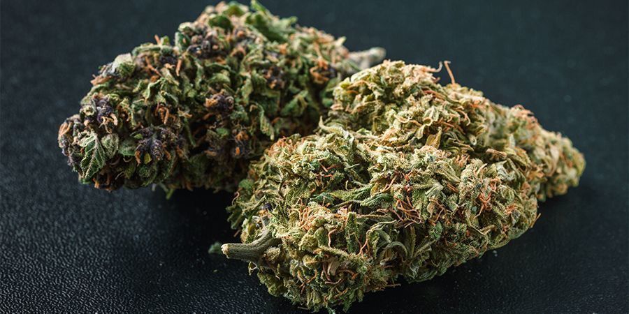 Vilka färger kan cannabis ha? Vilka färger kan cannabis ha?