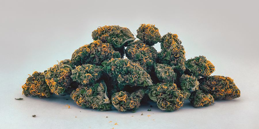 Gult/orange (karotenoider) Yellow/Orange (Carotenoids) Cannabis Buds