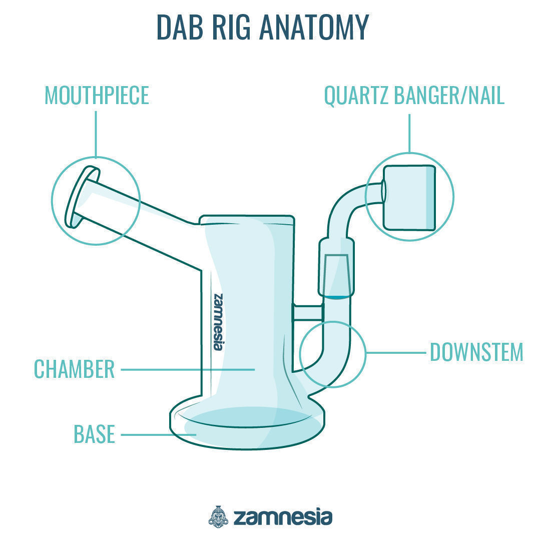 Dab rig: anatomi