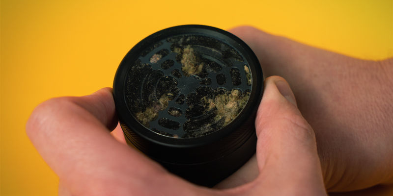 Mala din cannabis ordentligt Så rullar du en joint som inte kanotar: mala din cannabis ordentligt