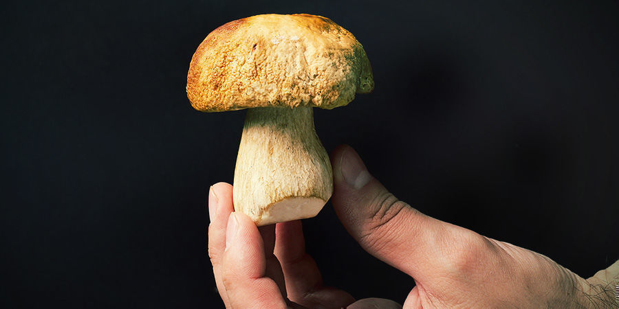 Var alltid försiktig med dina svampar Always Be Careful With Your Mushrooms