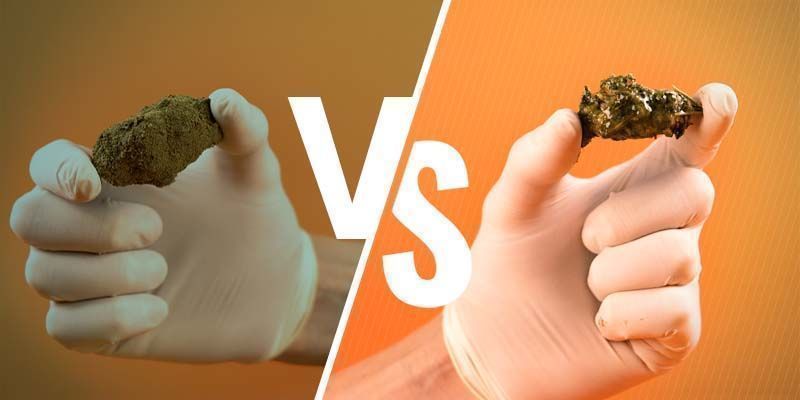 Moon Rocks Vs Cannabis Caviar Moon Rocks Vs Cannabis Caviar