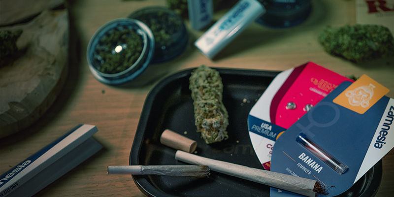 Sorter med högt THC-innehåll Få starkare effekt: sorter med högt THC-innehåll