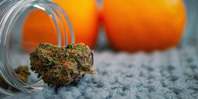 Har du cannabis men inget sätt att röka? Ingen fara! Har du cannabis men inget sätt att röka? Ingen fara!