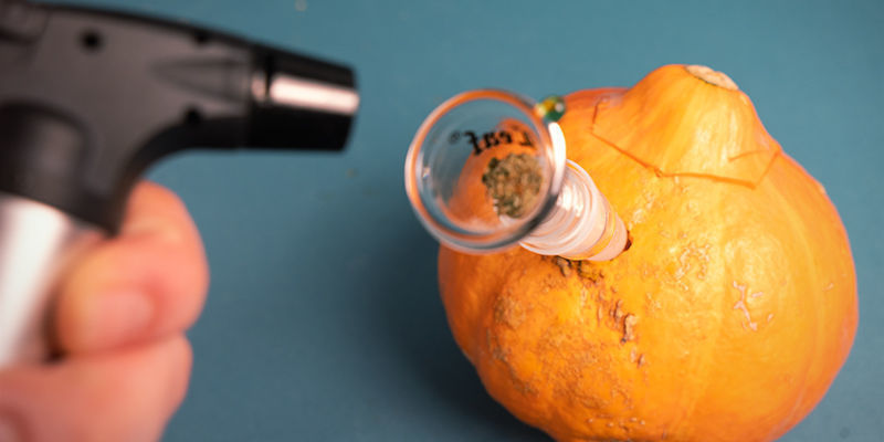 Den mest populära grönsaksbongen: pumpa Den mest populära grönsaksbongen: pumpa