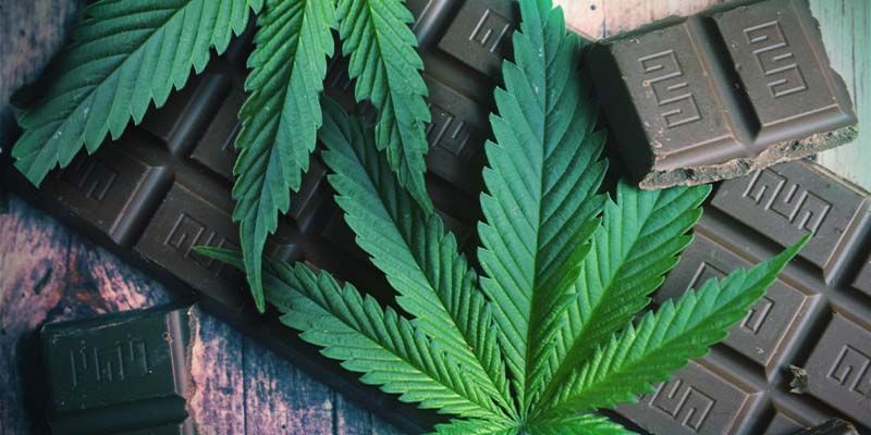 Grunderna i ätbara cannabisprodukter Grunderna i ätbara cannabisprodukter