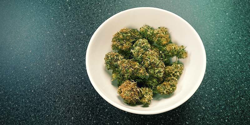 &Aring;terfukta dina cannabisblommor: Medelsikt (dagar)