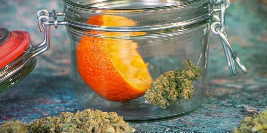 Apelsinskal Återfukta dina cannabisblommor: apelsinskal