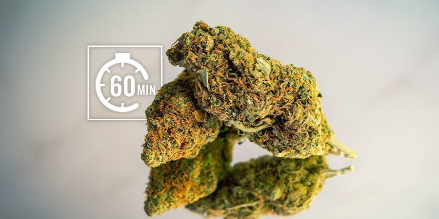 Kort sikt (timmar) Återfukta dina cannabisblommor: kort sikt (timmar)