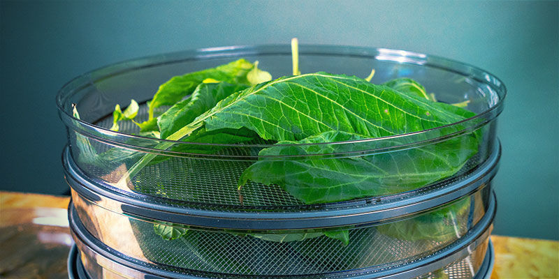 Mattork FOOD DEHYDRATOR
