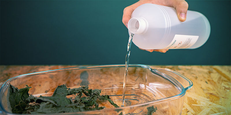 Göra ett salviaextrakt MAKING A SALVIA EXTRACT