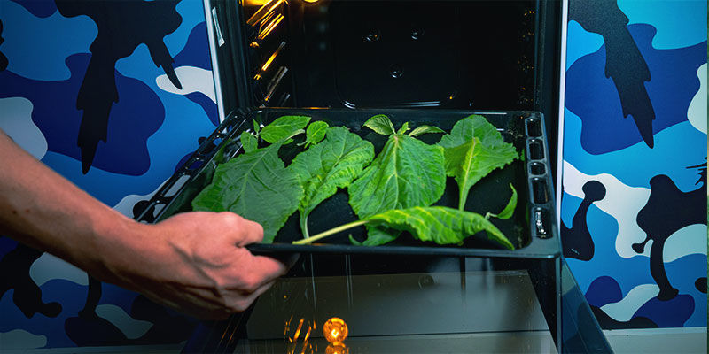 Ugnstorka din Salvia OVEN DRY YOUR SALVIA