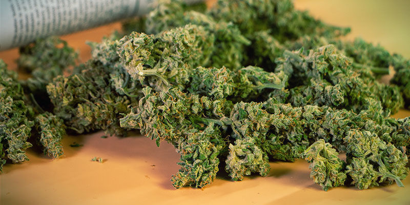 Ta med tillräckligt med cannabis Ta med tillräckligt med cannabis