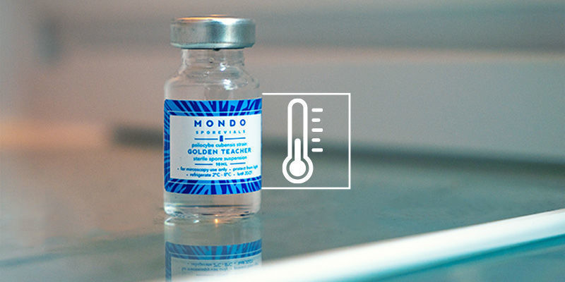 Hur länge håller sporampuller? How long do spore vials last?