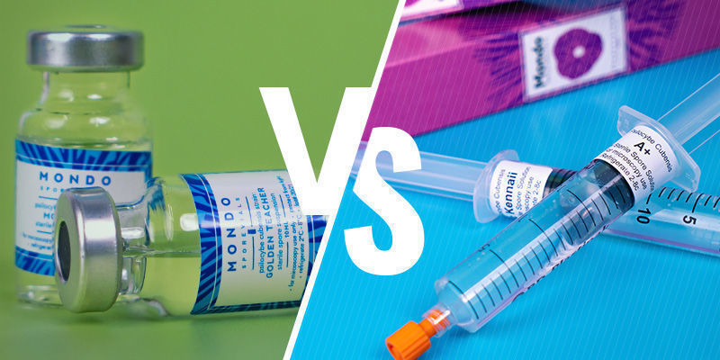 Sporampull vs sporspruta Spore vial vs spore syringe