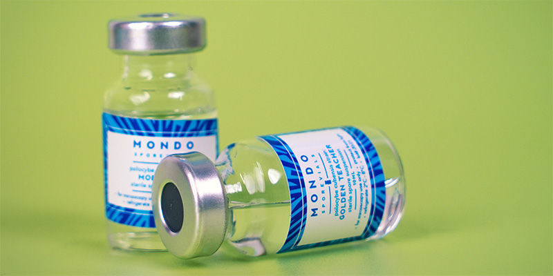 Vad är en sporampull? What is a spore vial?