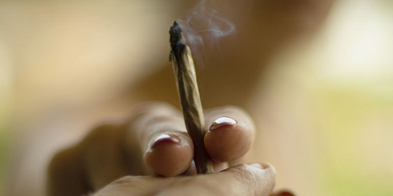 Slutliga tankar om entourage-effekten — cannabiss största mysterium Slutliga tankar om entourage-effekten — cannabiss största mysterium