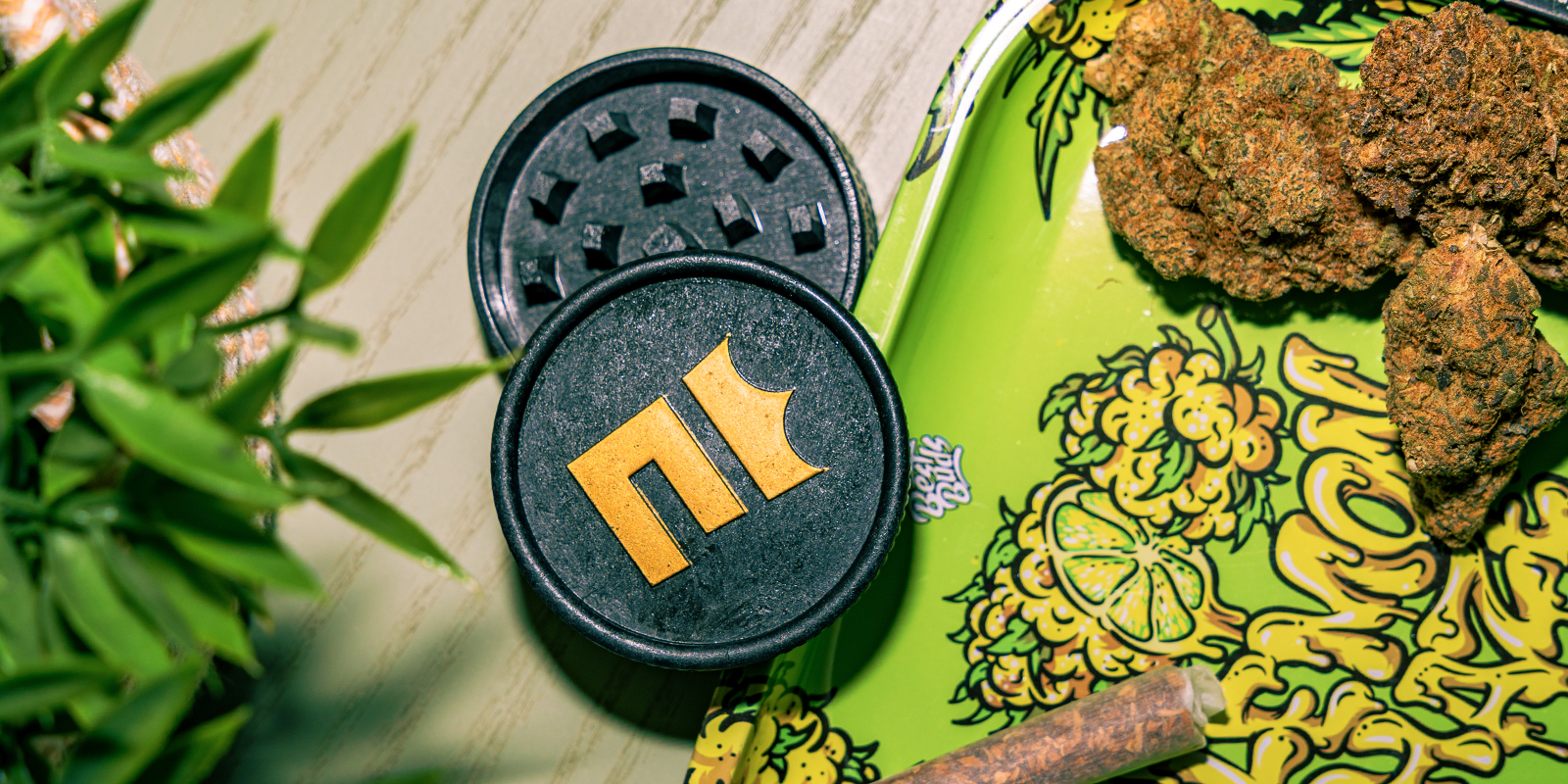 Biologiskt nedbrytbar hampakvarn: Zamnesia Biodegradable Hemp Grinder: Zamnesia