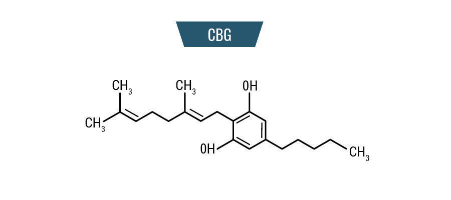 CBG Molekyl CBG Molekyl