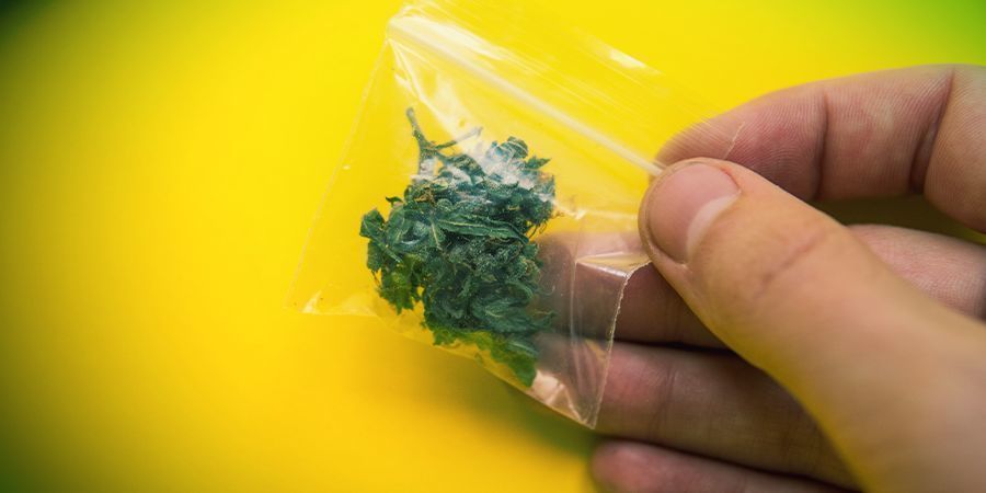 Tips To Hide The Weed Smell In Public Tips To Hide The Weed Smell In Public