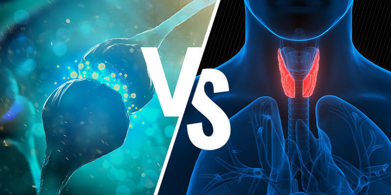 Endocannabinoid System Vs Endocrine System Endocannabinoid System Vs Endocrine System