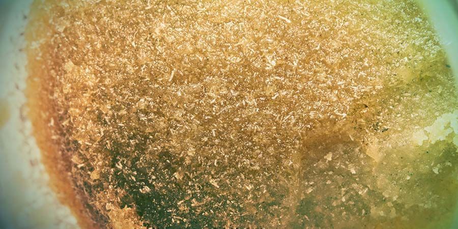 Cannabisextrakt: Iceolator – full-melt bubble hash