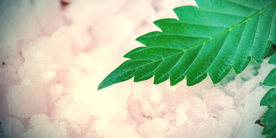 Cannabisextrakt: CBD-kristaller