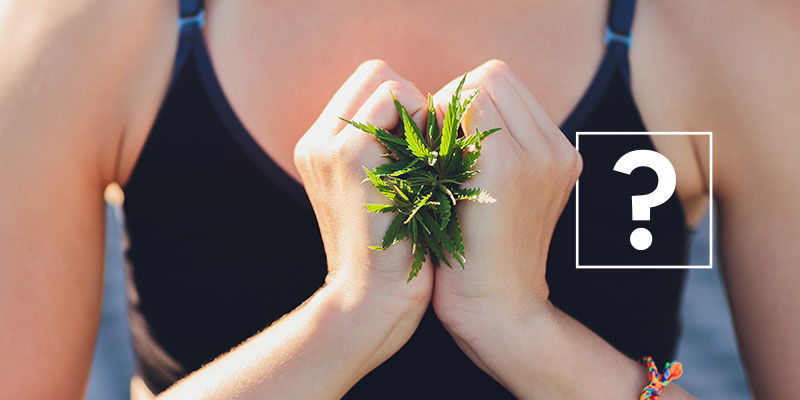 Gräs och viktnedgång: Fungerar det verkligen? Weed and weight loss: Does it really work?