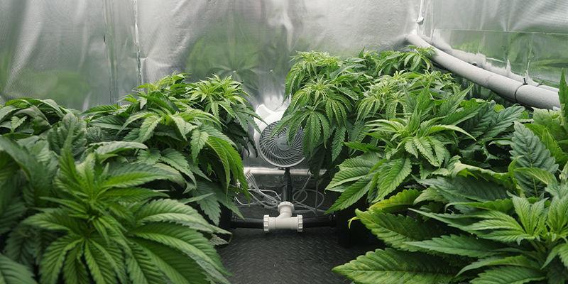 Recirkulerande vs. drain-to-waste: Slutsatser Recirculating Vs. Drain-To-Waste: FINAL THOUGHTS
