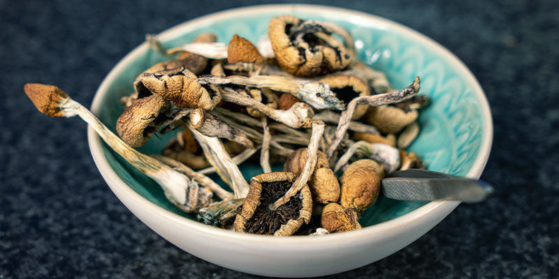 Torkade magiska svampar Dried magic mushrooms