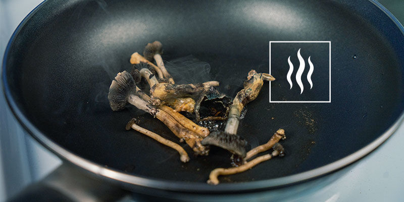 Värme, psilocybin och styrka Värme, psilocybin och styrka