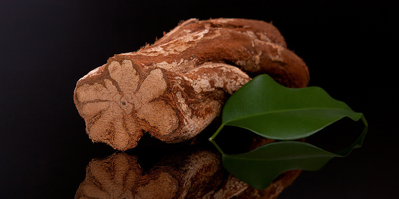 Vad är ayahuasca? What is ayahuasca?