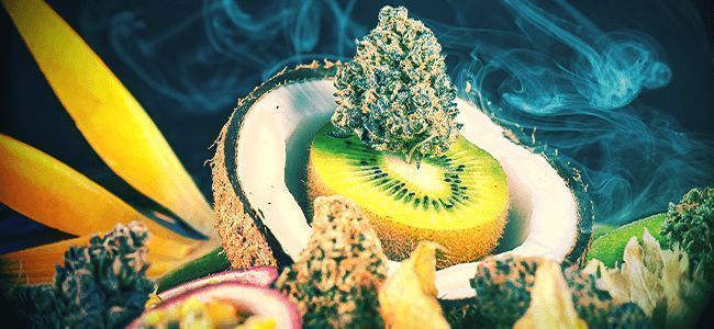 FÅ EN TERPENBOOST