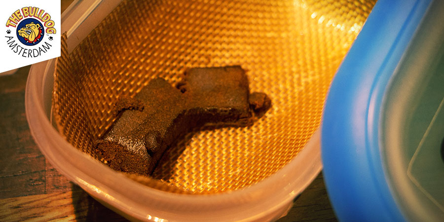 The Bulldog Best Hash - The Bulldog Coffeeshop Amsterdam