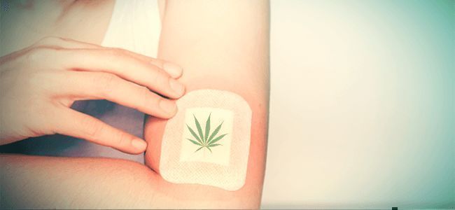 Cannabis topikaler och kosmetika