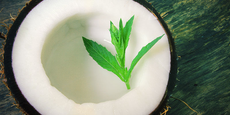 Gynnsamma vitaminer och mineraler i kokosvatten Gynnsamma vitaminer och mineraler i kokosvatten cannabis
