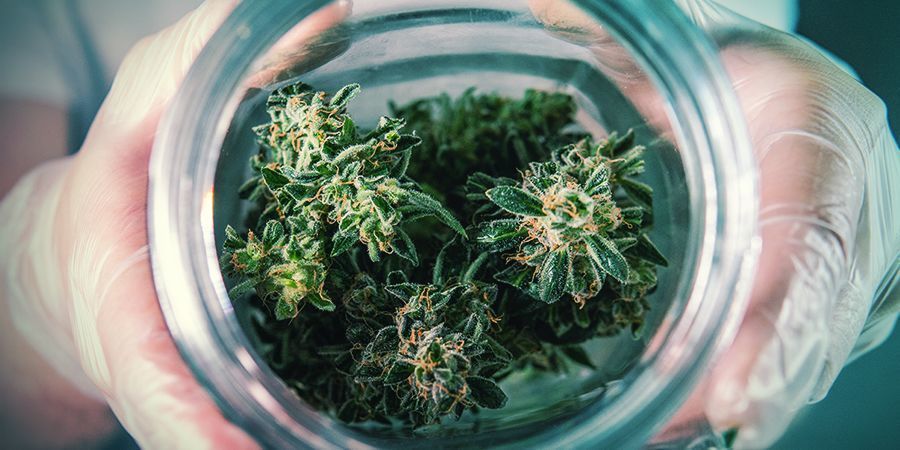 Håll din cannabis fräsch