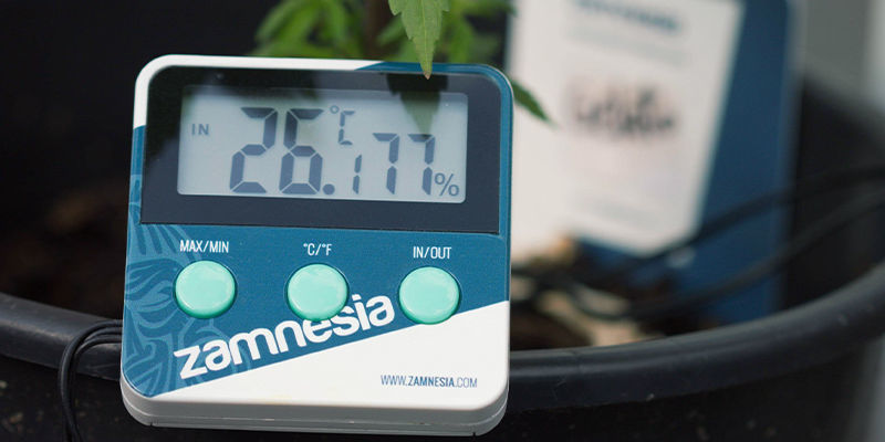 2–3 Weeks Before Harvest 2–3 Weeks Before Harvest