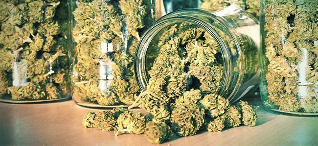 Rökarmisstag: Förvara cannabis