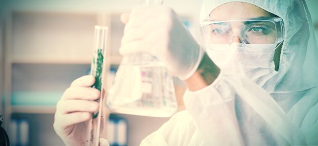 Låt proffsen sköta tillverkningen av cannabisdestillat LEAVE CANNABIS DISTILLATE CREATION TO THE PROFESSIONALS