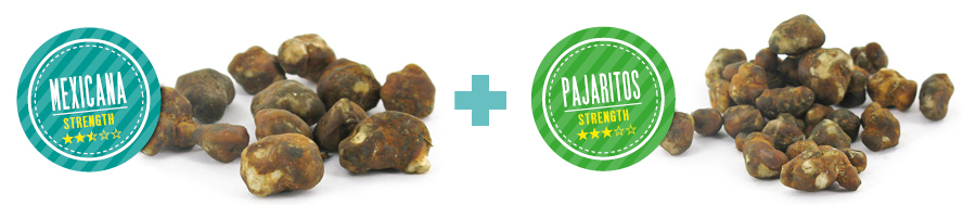 Vad gör vår magiska tryffel ”Dynamic Duo” speciell? WHAT MAKES OUR MAGIC TRUFFLE “DYNAMIC DUO” SPECIAL?