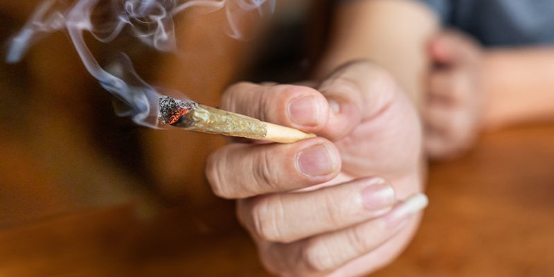 Förstå effekterna av cannabis Förstå effekterna av cannabis