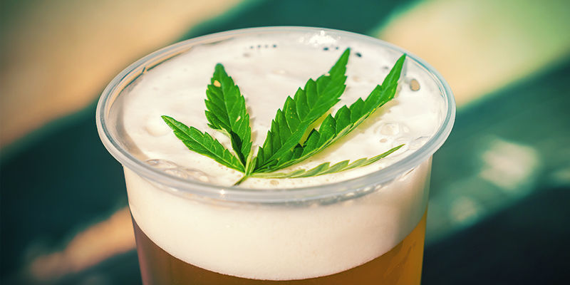 Brygg cannabisalkohol Brew Cannabis Alcohol
