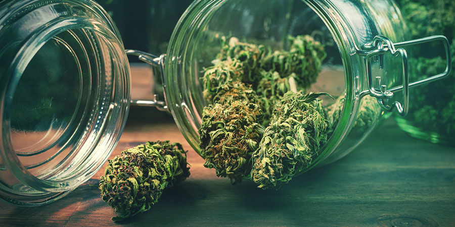 Hur ska jag förvara min cannabis?