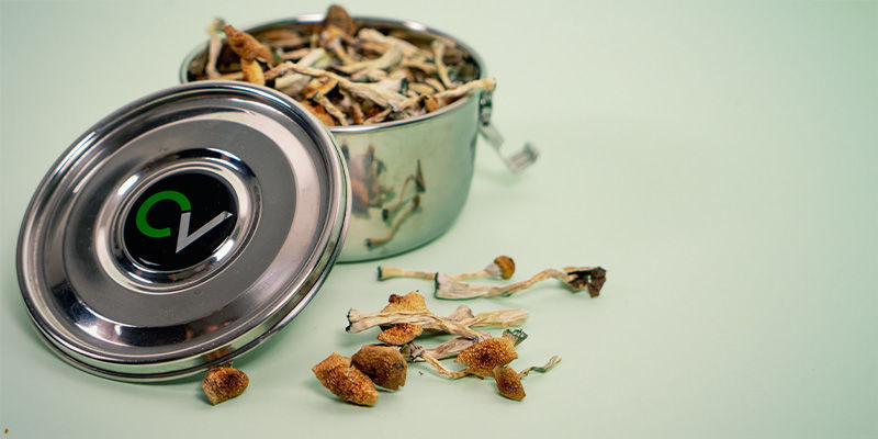 Förvaring Magic Mushrooms: Storing