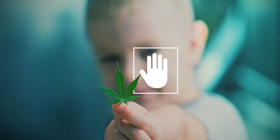 Konsumera aldrig cannabis framför dina barn Never consume cannabis in front of your kids