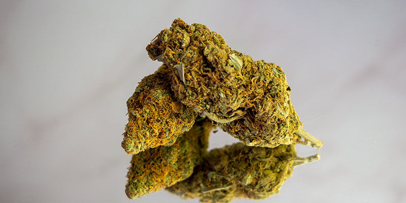 Prova sorter med högt THC-innehåll Try high-THC strains