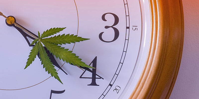Konsumera cannabis vid olika tidpunkter Consume cannabis at different times