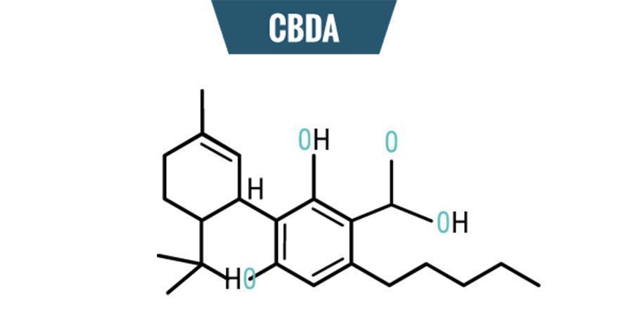 Kemin bakom CBDA Chemistry Of CBDA